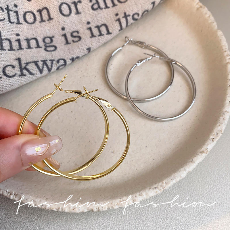 High-end design sense, fashionable circular stud earrings, individual temperament, oval earrings, niche silver needle earrings, 2025 new trend Application Scenario