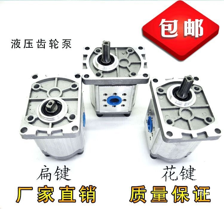 CBN - F304/306/310/314/316/320/325 hydraulic gear pump gear pump spline flat key details Picture