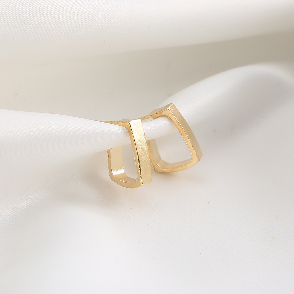 Wholesale of new fashionable and trendy geometric metal earrings from Europe and America that are popular among Internet celebrities Application Scenario