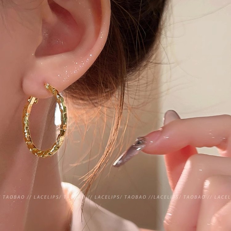 Simple silver ring earrings, a new bestseller in 2025, with a high-end feel. The ear loops and ear rings are niche design earrings for women Application Scenario