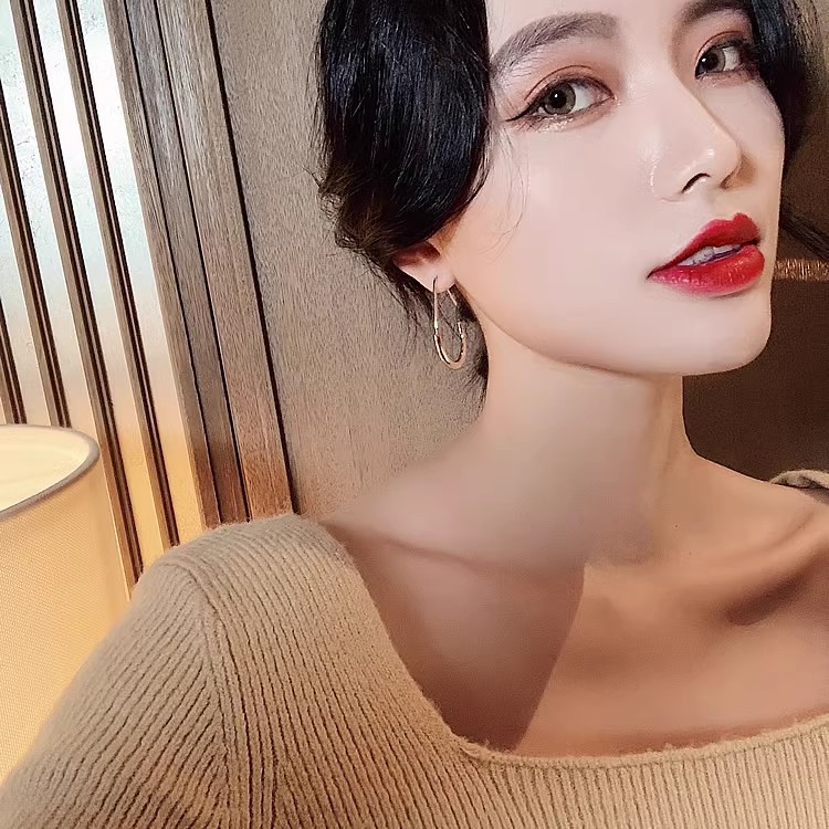 Oval earrings, a niche design for women, with a high-end and elegant style. New trendy retro earrings from 2025. Exaggerated earrings Application Scenario
