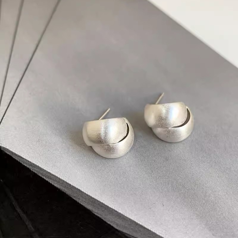 Silver brushed metal interlaced high-end earrings for women 2024, a light luxury and niche design earring accessory Application Scenario