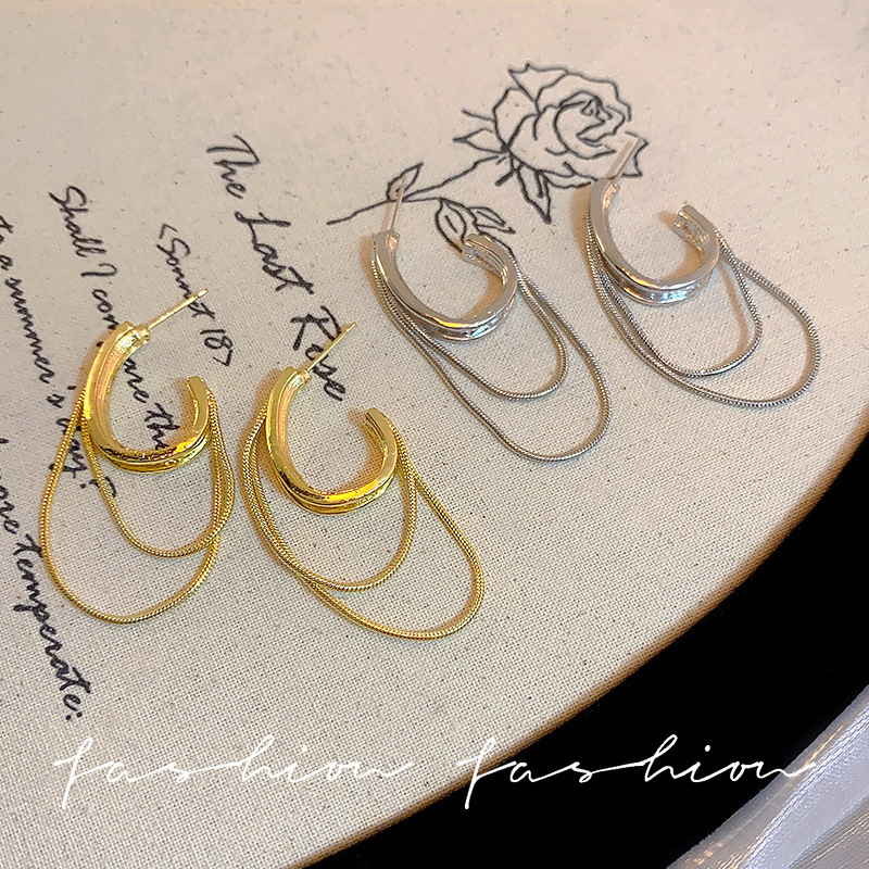 Light luxury and high-end fringed earrings, women's niche design, elegant stud earrings, 2025 new trendy, exaggerated and personalized earrings Application Scenario