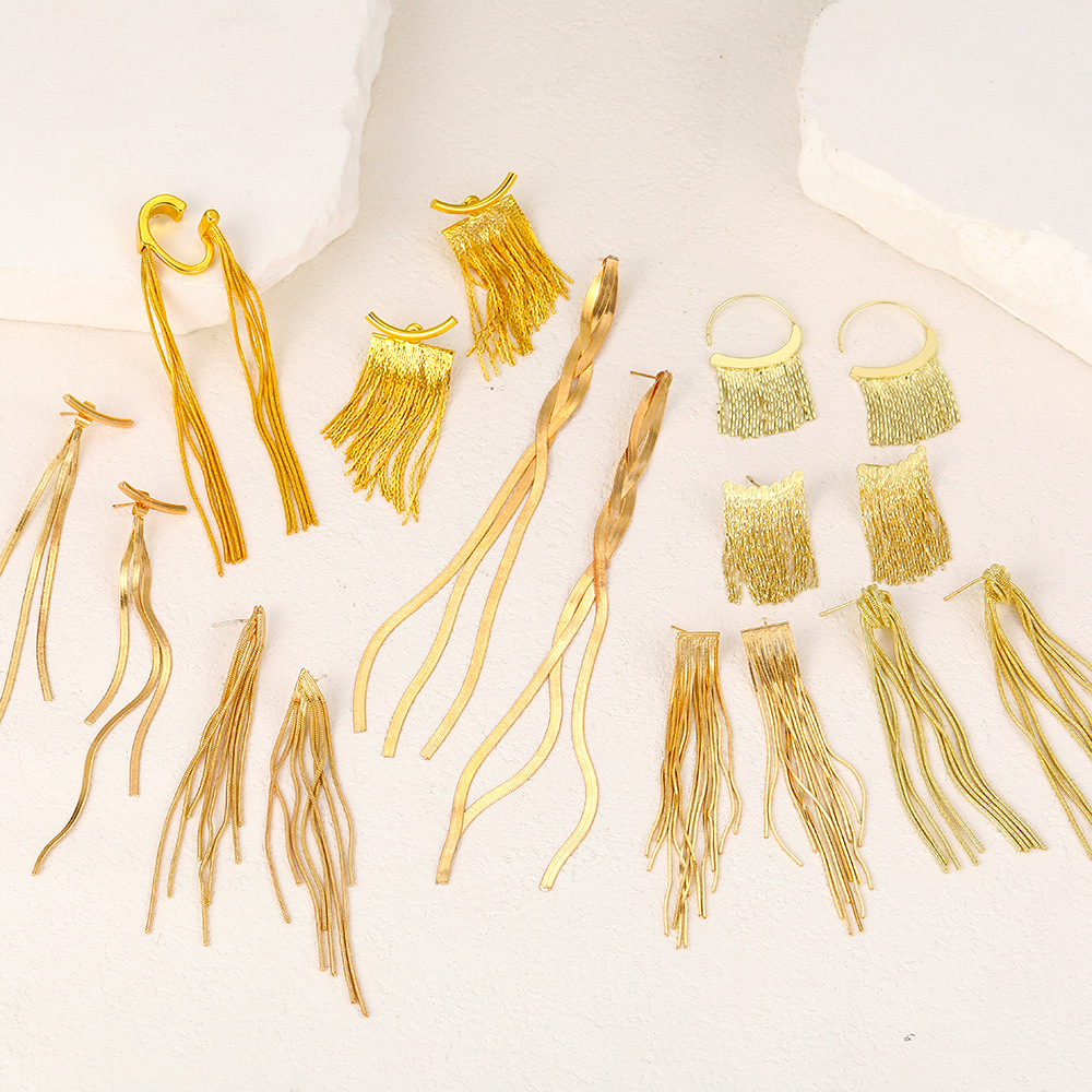 Exaggerated and personalized geometric metal chain long tassel earrings from Europe and America, creative and simple snake-bone metal long earrings details Picture