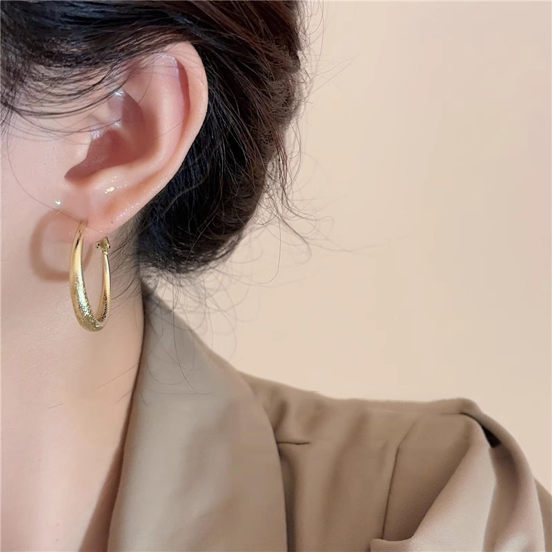 French high-end frosted circular stud earrings for women, a light luxury and fashionable high-end look. A niche design and versatile ear accessory details Picture