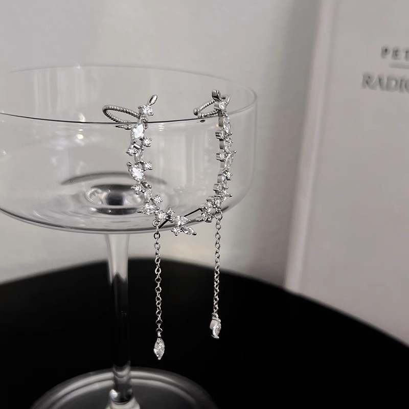 Super dazzling and stylish fringed stud earrings for women, long, light luxury, fashionable and high-end earrings, unique and distinctive design, elegant earrings Application Scenario