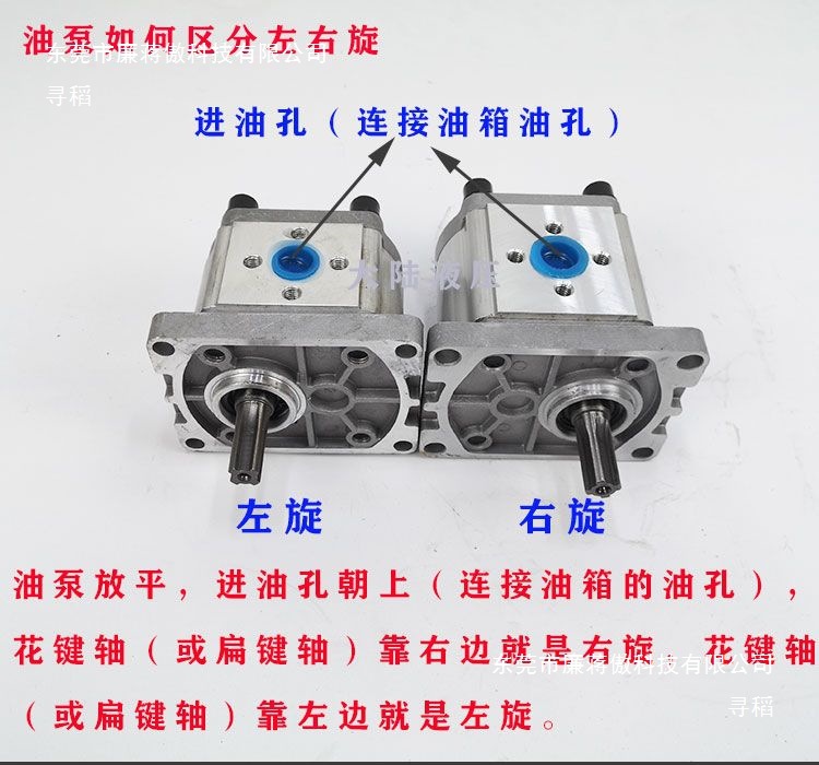 CBN - F304/306/310/314/316/320/325 hydraulic gear pump gear pump spline flat key Specification drawing