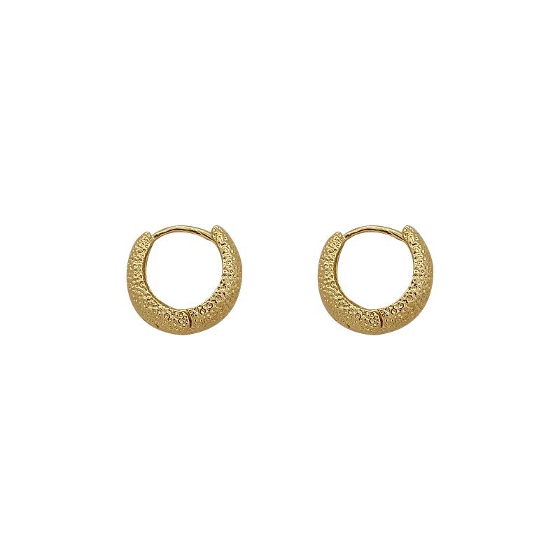 Sparkling starlight matte plain ring earrings, women's light luxury and high-end feel, niche design, unique style, ear ring earrings and accessories Item Picture
