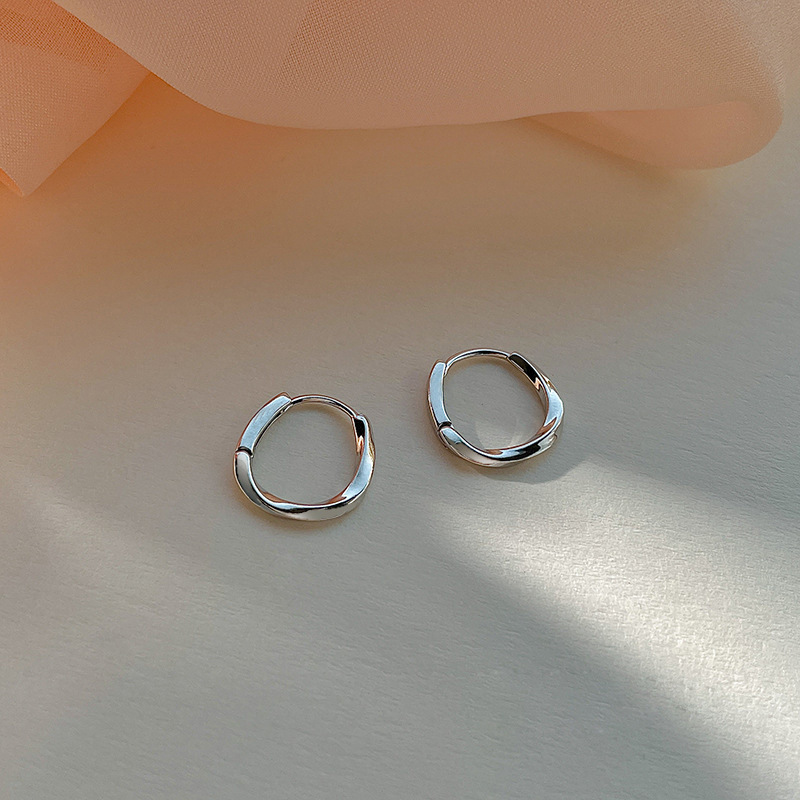Irregular circle earrings for women, 2023 new trendy, light luxury, niche and fashionable stud earrings full figure