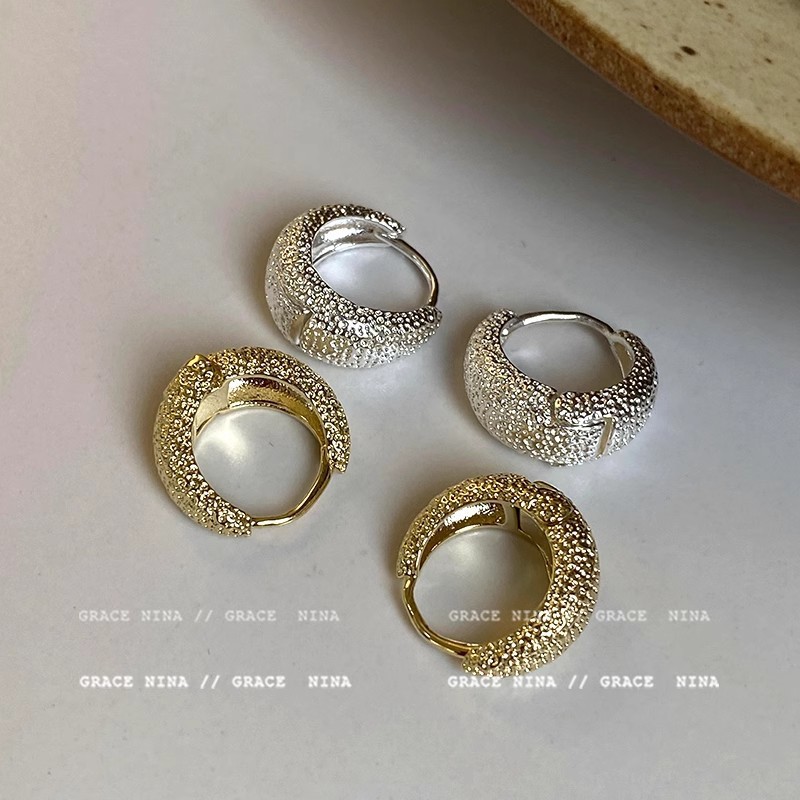 Sparkling starlight matte plain ring earrings, women's light luxury and high-end feel, niche design, unique style, ear ring earrings and accessories Application Scenario