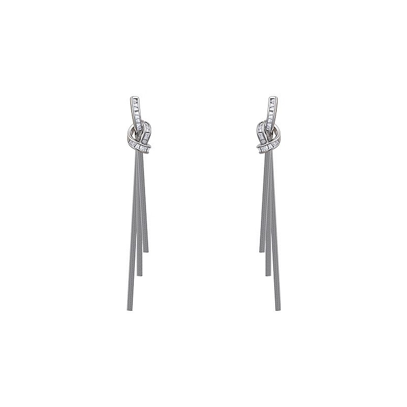 Unique long tassel earrings for women's autumn and winter, a light luxury and high-end silver needle earrings, a new bestseller in 2025 Item Picture