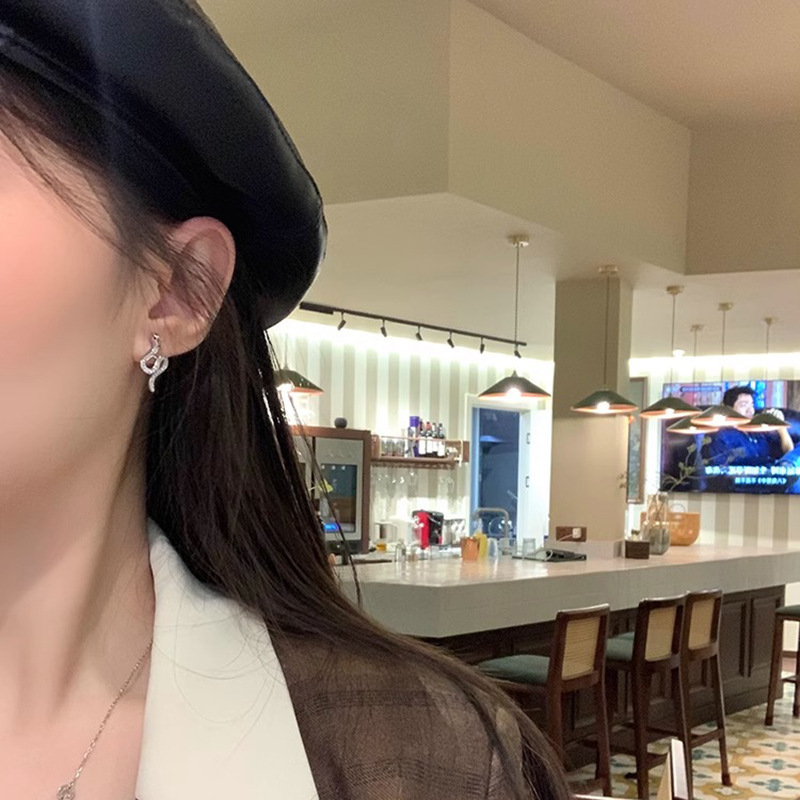 Limited edition snake-shaped stud earrings for the Year of the Snake, unique and distinctive for women, light luxury, exquisite and high-end design earrings Application Scenario
