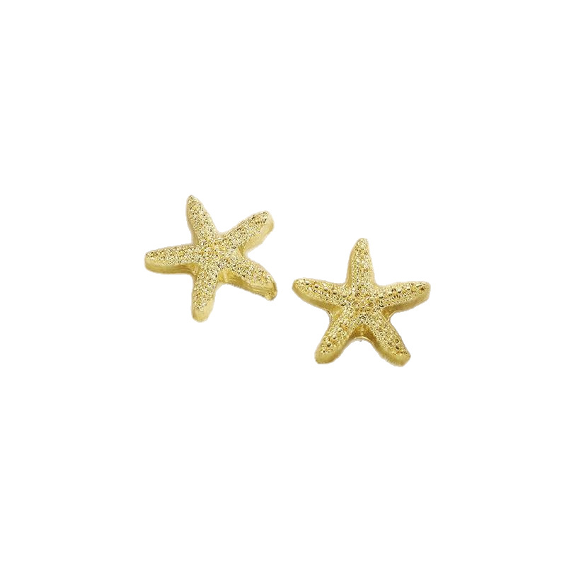 European and American cold style fashion trend starfish earrings, women's unique design sense, exaggerated street style popular stud earrings and accessories Item Picture