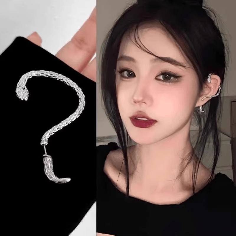 European and American retro hip-hop cold style snake-shaped stud earrings, women's niche design, one-piece earrings, high-end fashion earrings full figure
