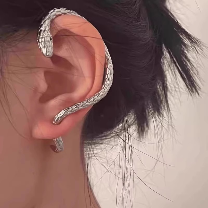 European and American retro hip-hop cold style snake-shaped stud earrings, women's niche design, one-piece earrings, high-end fashion earrings Application Scenario