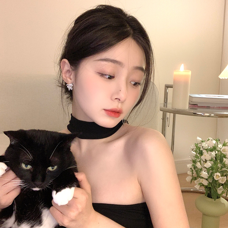 Long asymmetrical tassel stud earrings, Korean cold style light luxury individual temperament earrings, high-quality earrings wholesale Application Scenario