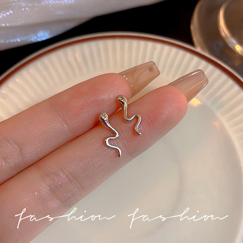 Two mini snake earrings in a cold and cool style, with a cute and niche design. The zodiac year stud earrings are simple and stylish Application Scenario