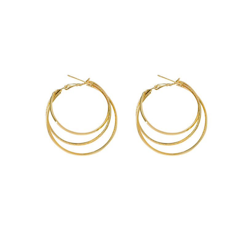 S925 Silver Needle, with a niche design sense, ear rings, and unique stud earrings, is a new trendy and cool style for women, as well as fashionable and exaggerated earrings Item Picture