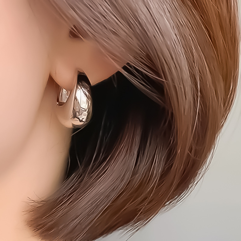 European and American cross-border best-selling retro geometric earrings, niche design sense, cold style, high-end stud earrings, simple and light luxury ear buckles Application Scenario