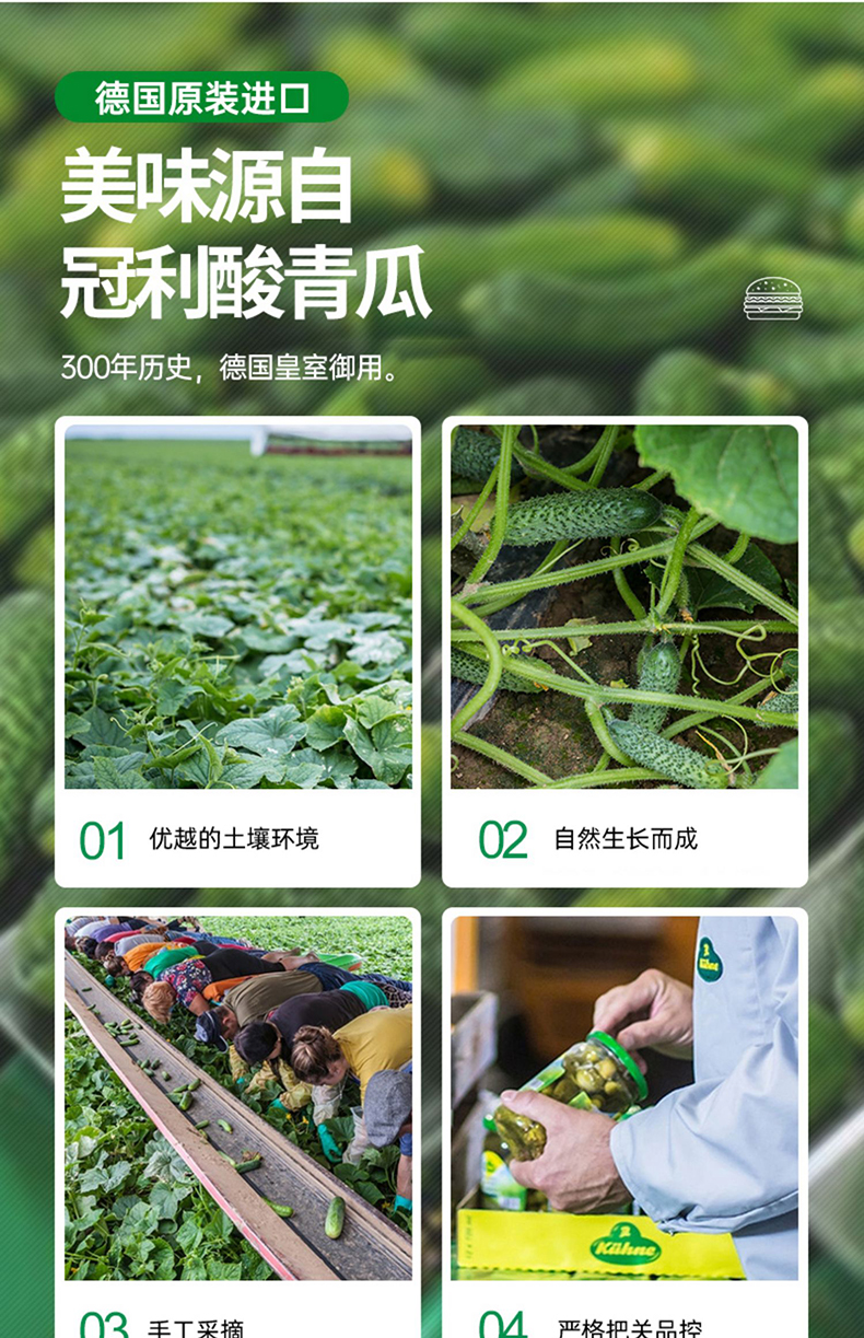 批发包邮！德国原装进口冠利鸡尾青瓜仔180g小菜罐头酸黄瓜调味品详情9
