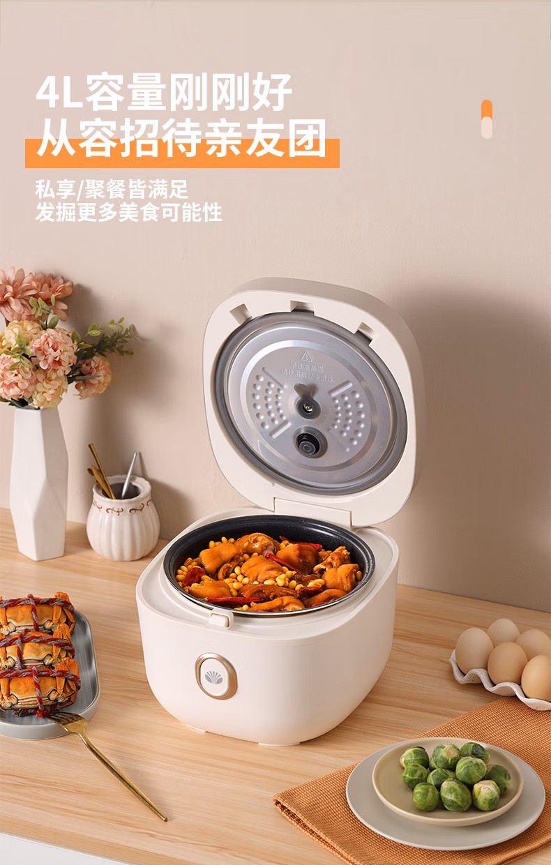 批发包邮！大宇DAEWOO智能电饭煲家用4L 多功能煮粥煲汤DYFB-424F详情7