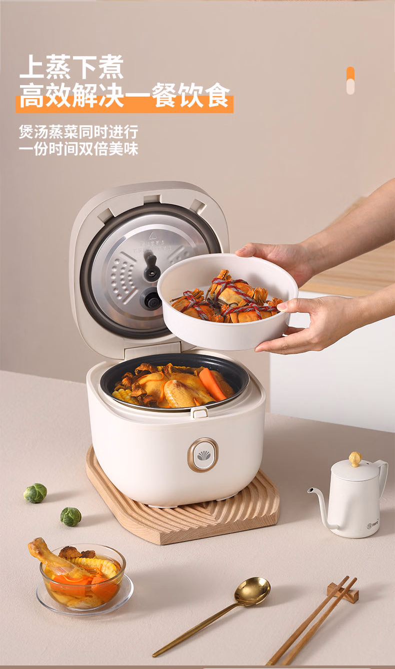 批发包邮！大宇DAEWOO智能电饭煲家用4L 多功能煮粥煲汤DYFB-424F详情8