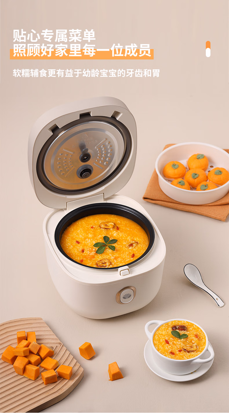 批发包邮！大宇DAEWOO智能电饭煲家用4L 多功能煮粥煲汤DYFB-424F详情11