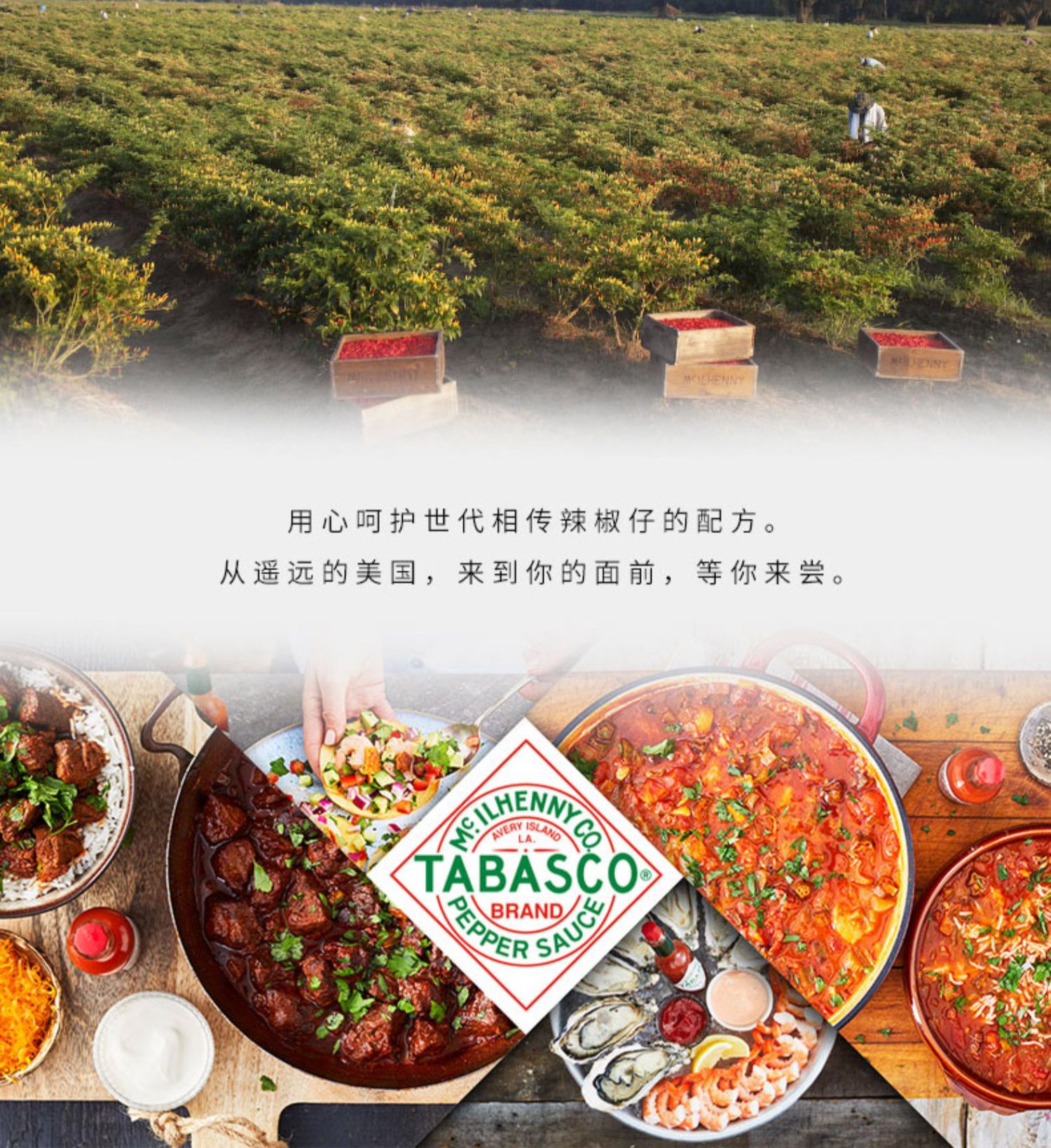 Free shipping for wholesale! Imported condiments, chili sauce, American chili seeds, super spicy chili sauce, 60ml snacks pic 10