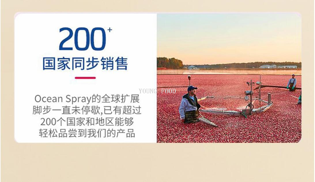 批发包邮！三只松鼠大师联名纯坚果款 鼎奢款2040g休闲零食手办详情10