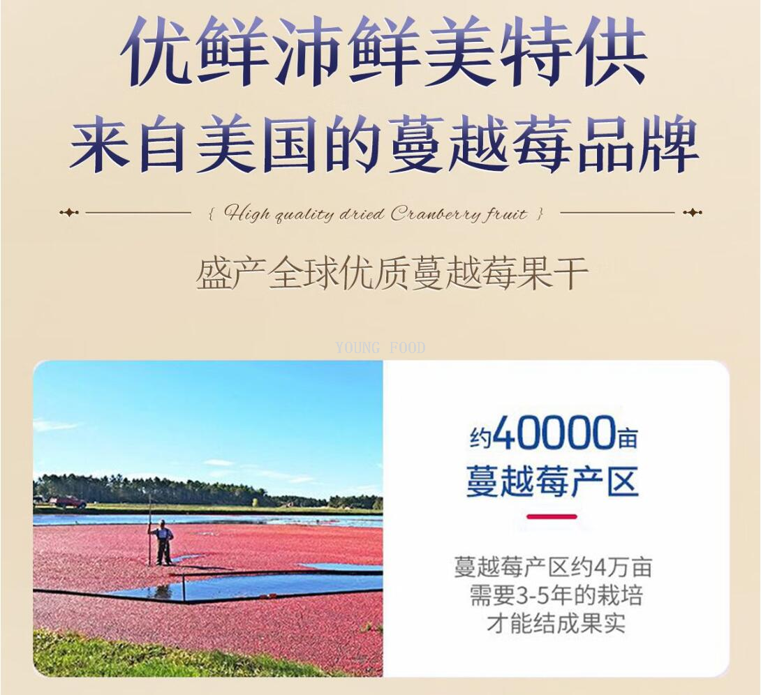 批发包邮！三只松鼠大师联名纯坚果款 鼎奢款2040g休闲零食手办详情8