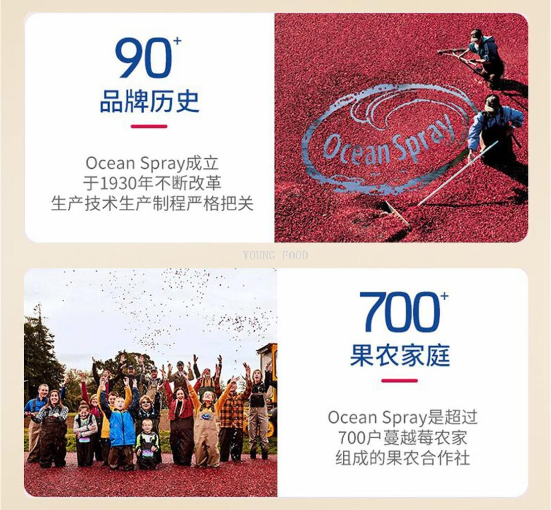 批发包邮！三只松鼠大师联名纯坚果款 鼎奢款2040g休闲零食手办详情9