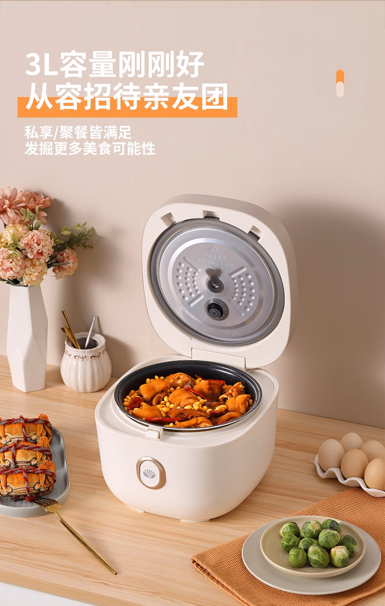 批发包邮！大宇DAEWOO多功能智能预约3L家用汤粥煮饭锅DYFB-E360详情7