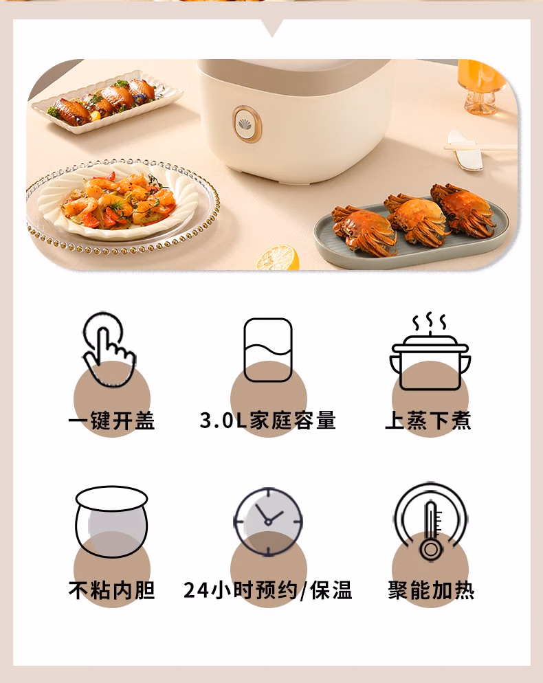 批发包邮！大宇DAEWOO多功能智能预约3L家用汤粥煮饭锅DYFB-E360详情4