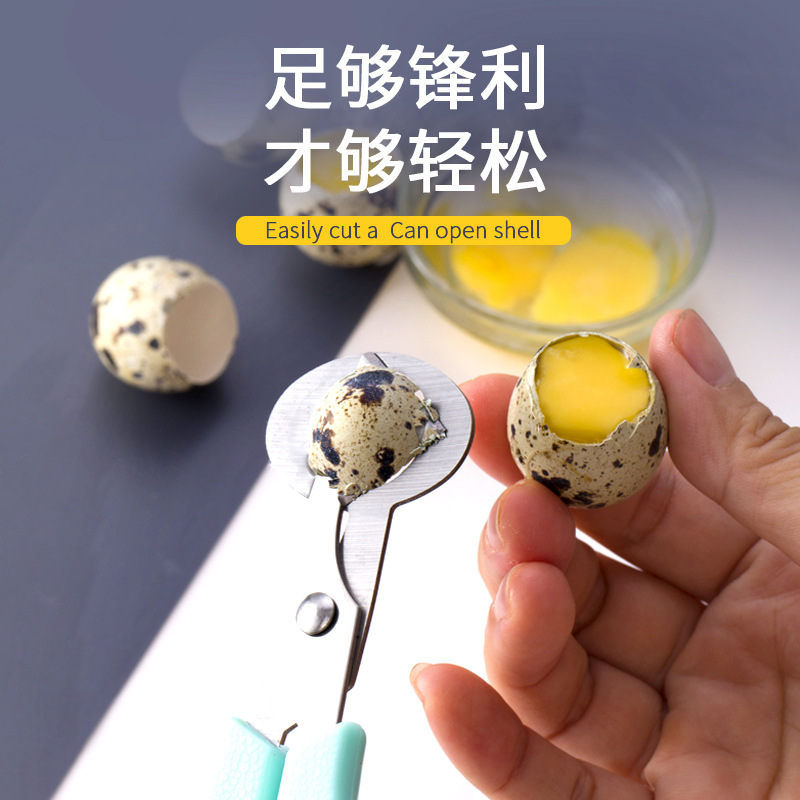 Quail egg scissors, stainless steel bird egg shearer, quail egg cutter, kitchen scissors in stock for wholesale Application Scenario
