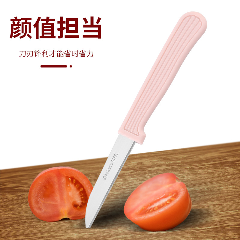 Stainless steel fruit knife, household fruit knife, kitchen fruit and vegetable peeler, apple peeler, fruit peel cutter, small knife Application Scenario