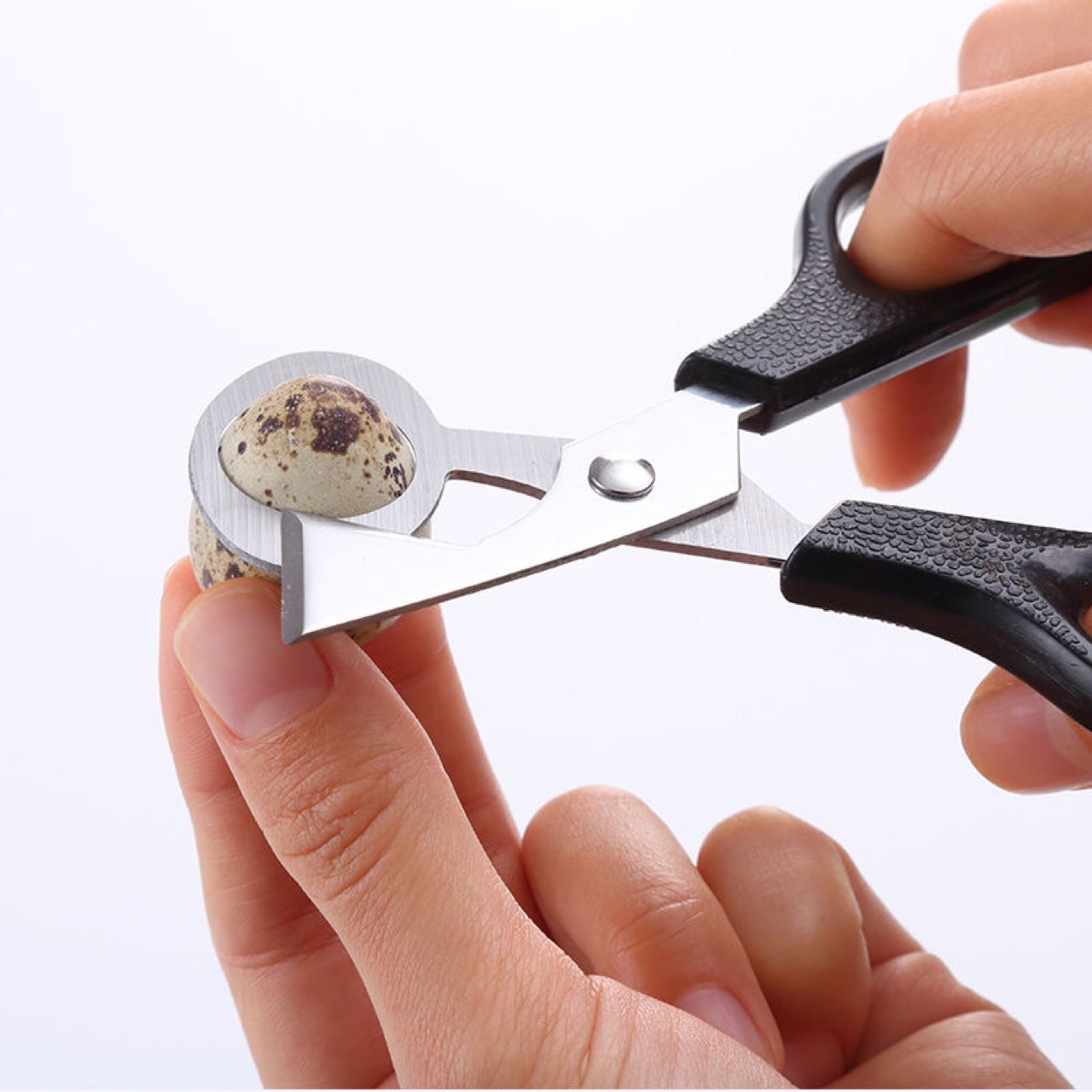 Quail egg scissors, stainless steel egg cutter, bird egg opening and shell opening scissors, eggshell opening and slicer, kitchen scissors Application Scenario