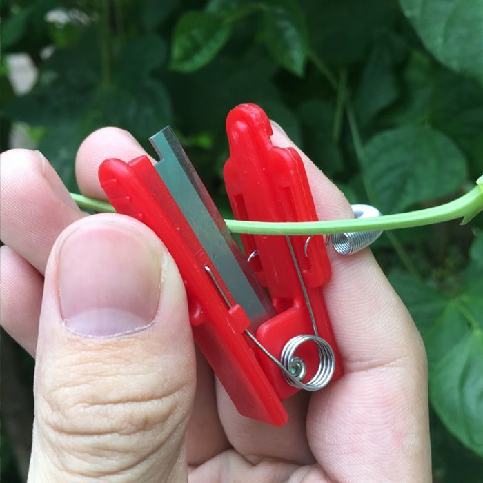 The small guillotine picking magic tool, the finger picking ring knife, the vegetable picking tool, the green bean and grape picking tool with pinching tips, and the fruit picking tool Specification drawing