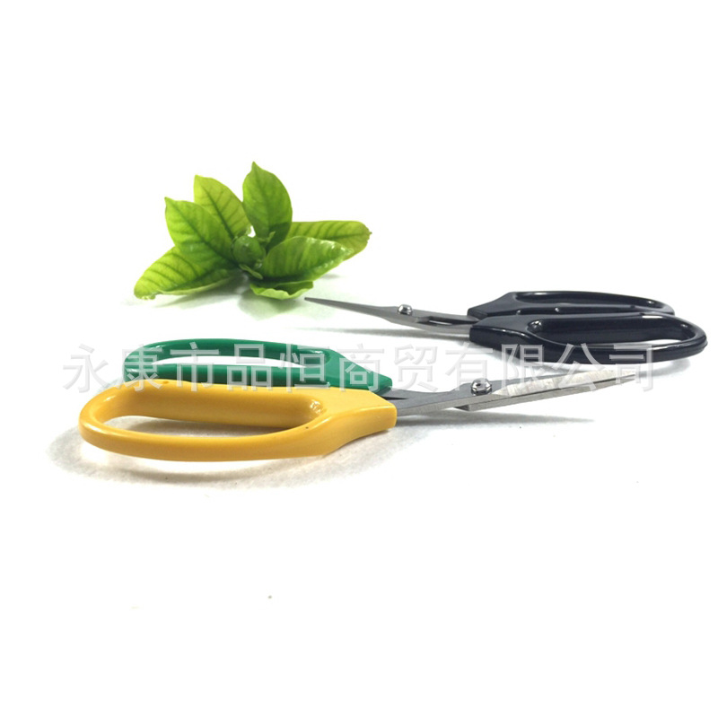 Grape-specific upturned head garden scissors, fruit thinning scissors, fruit trimming scissors, upturned head thinning fruit scissors, lean fruit scissors, stainless steel details Picture