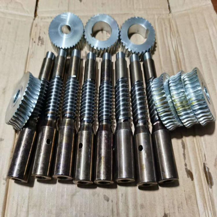 Process and produce Archimedes worm gear and worm small module worm gear and worm metering pump 72 pump X20 details Picture