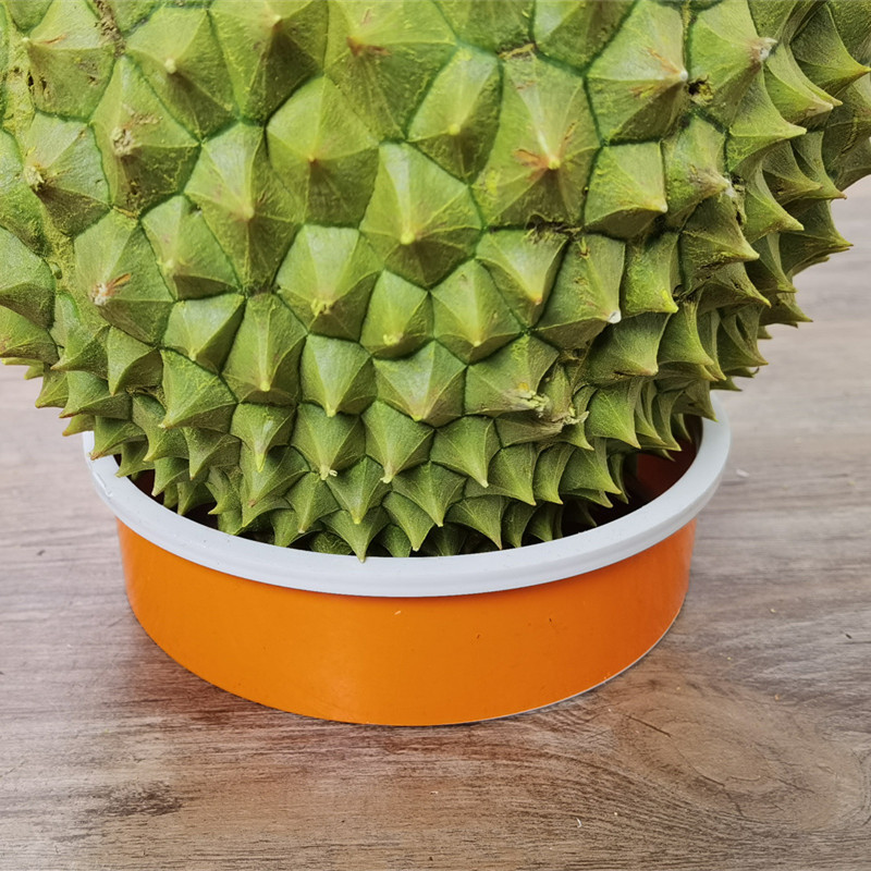 Durian washer, durian opener, durian fruit inspection stick, fixed ring, durian special knife, durian opening tool undefined