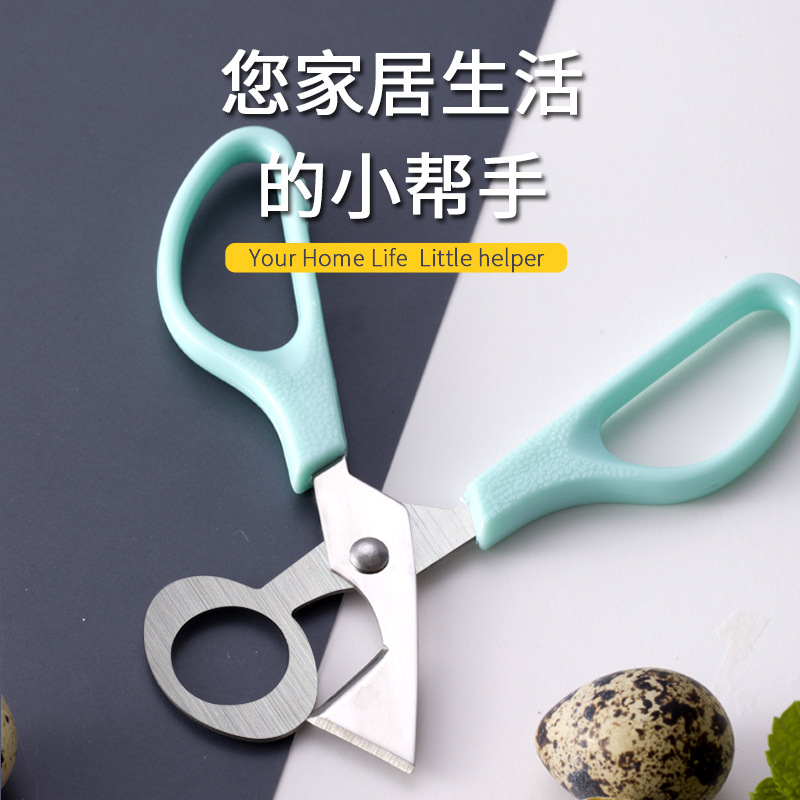 Quail egg scissors, stainless steel bird egg shearer, quail egg cutter, kitchen scissors in stock for wholesale details Picture