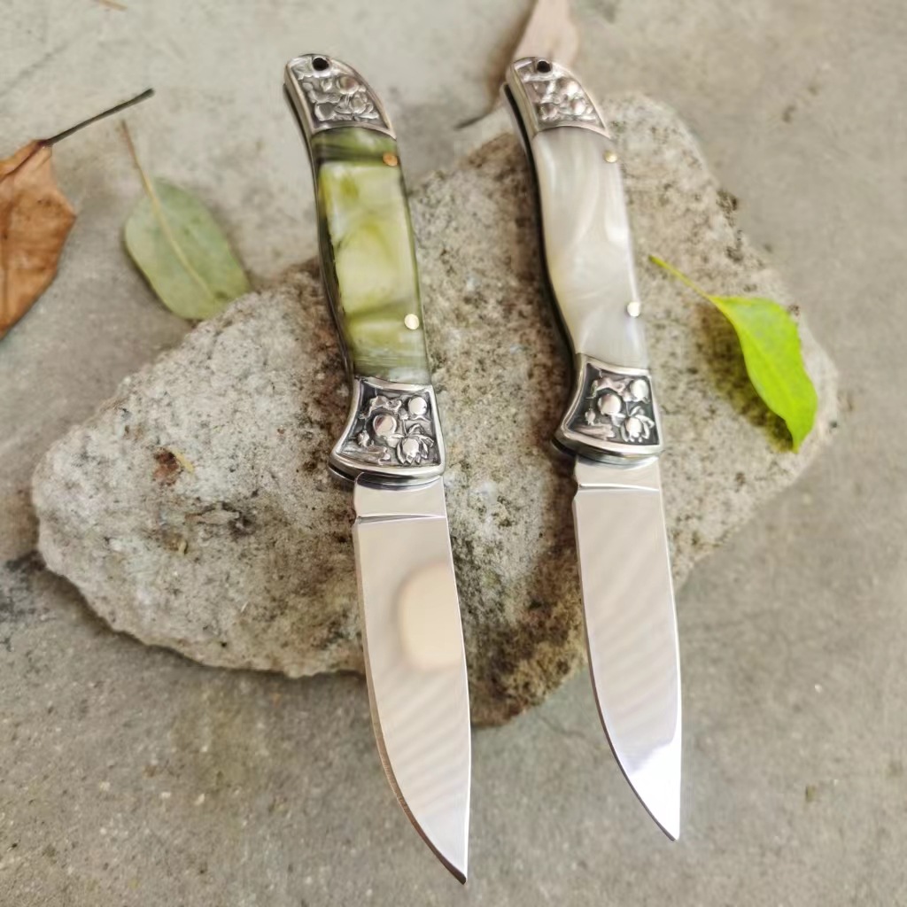Stainless steel folding fruit knife, kitchen multi-functional knife, embossed steel head, sharp knife, portable outdoor key, mini details Picture