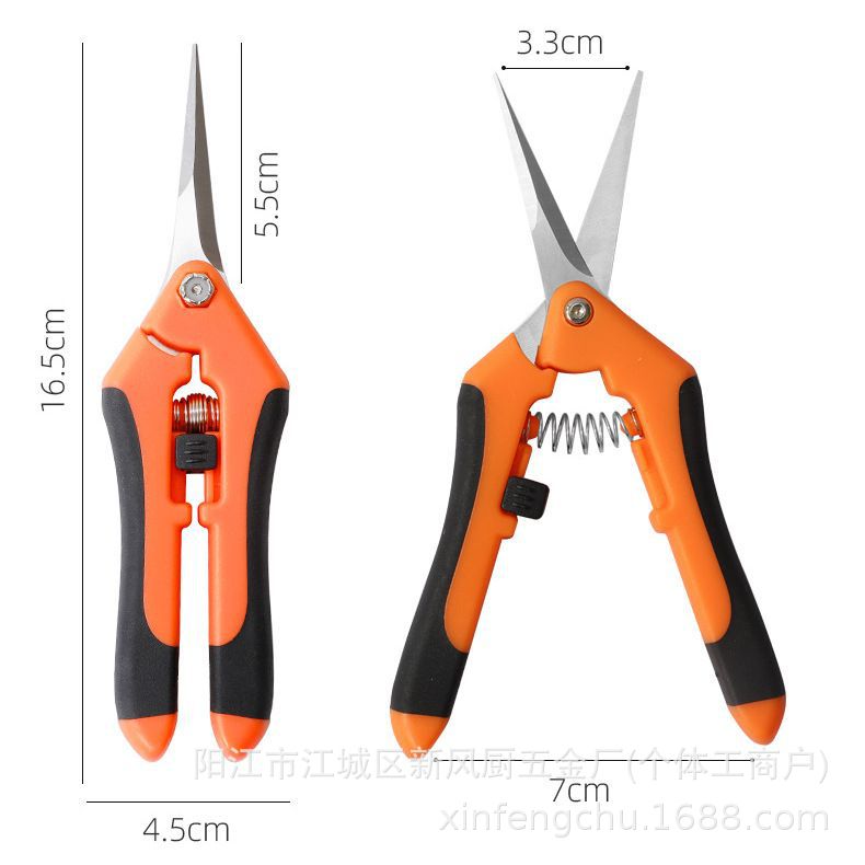 Stainless steel grape shears, fruit tree pruning scissors, outdoor gardening tools, garden floral art scissors, garden fruit picking scissors details Picture