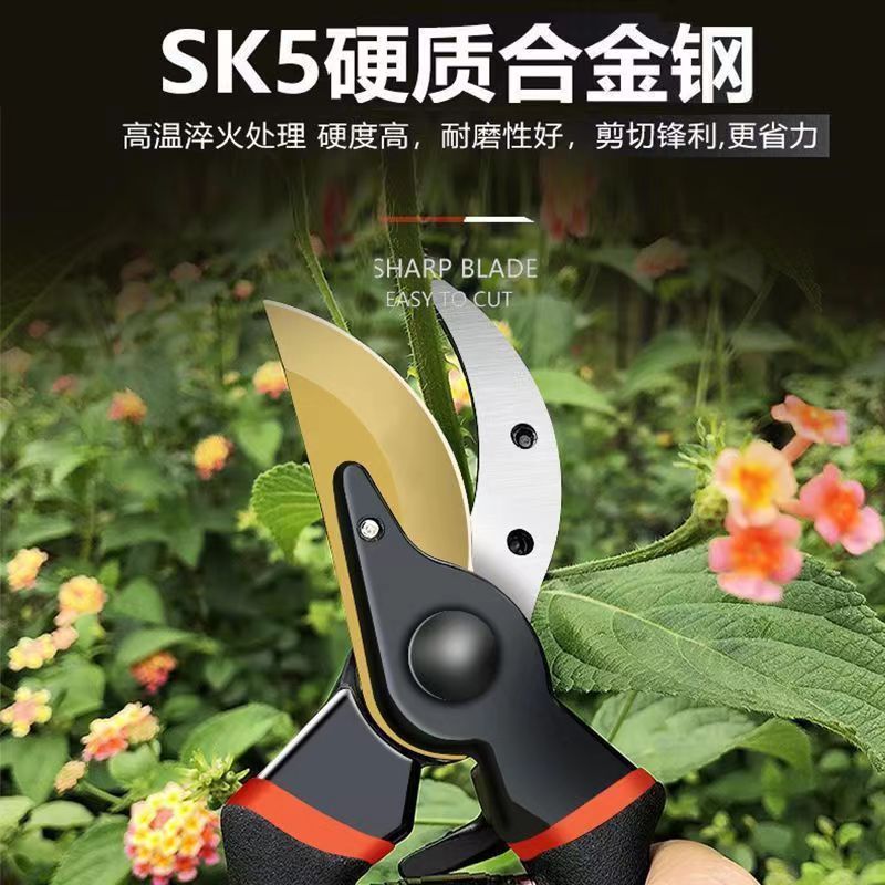 We offer German imported sk5 steel powerful garden shears, pruning shears, and grafting shears for garden flowers, trees and fruit trees. The tools are sharp Specification drawing