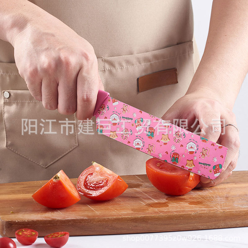 A popular foreign trade set of stainless steel straw printed six-piece knives in a color box for Christmas printed kitchen gift knives Specification drawing