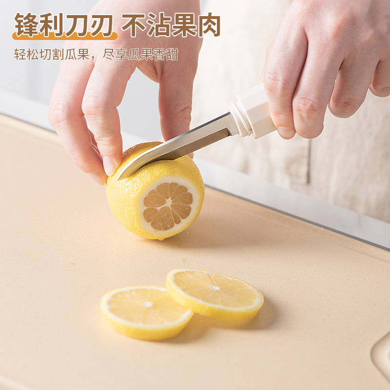 Multi-functional fruit knife, portable folding peeler for dormitory students, portable double-head two-in-one household peeler details Picture