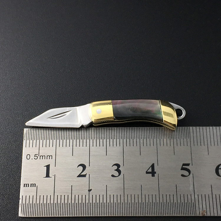 Factory direct sales of shell mini knives, exquisite pocket knives, portable folding knives, gift small folding knives details Picture