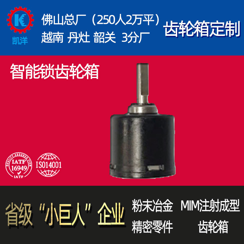 Smart lock, electronic door lock, fingerprint lock, micro planetary gear reducer, 22mm cabinet lock, lock core gearbox full figure