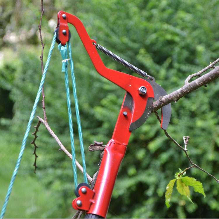 Telescopic high branch pruner, fruit picker, high-altitude scissors, branch scissors, high-altitude pruning scissors, pruning branches, garden tools Application Scenario