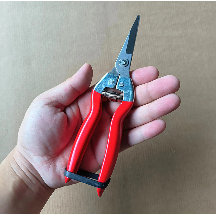 Factory direct sales of iron-handled pruning shears, garden shears, fruit-picking shears, anti-slip pruning shears, grape shears, large, medium and small shears details Picture